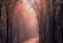 文明参赛，快乐奔跑，2025南京马拉松燃情开赛