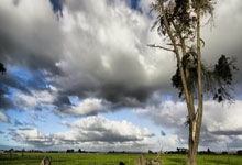 文明参赛，快乐奔跑，2025南京马拉松燃情开赛