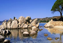 文明参赛，快乐奔跑，2025南京马拉松燃情开赛